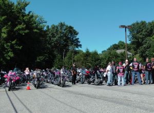 Pink Angels 2013