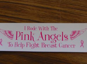Pink Angels 2013